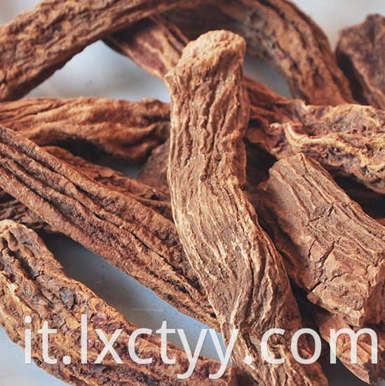 cynomorium songaricum Grain tea